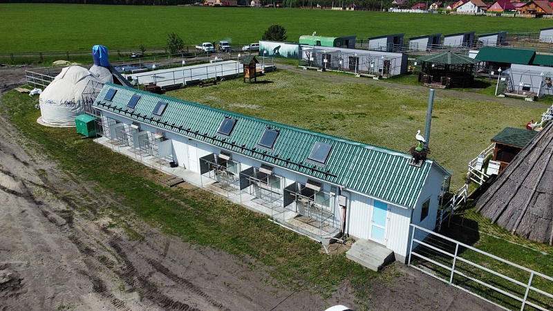 Птичник